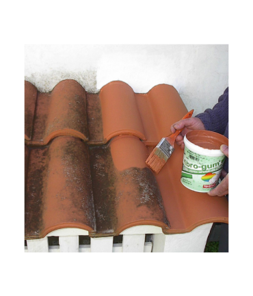 FIBROGUM PAINT